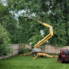 Best Utility Line Clearance  in Timberwood Park, TX